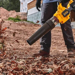 DeWalt Leaf Blowers