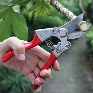 Pruning Shear