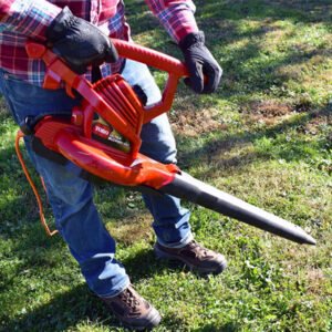 Toro Leaf Blowers: Power and Performance for Canadian Yards
