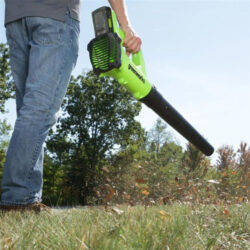 GreenWorks Leaf Blower