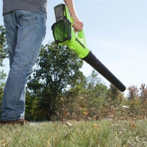 Greenworks Leaf Blower: Cordless Yard Cleanup for Canadian Homes